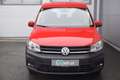 Volkswagen Caddy Kombi 2,0 TDI / NETTO: 14.567 €  Rot - thumbnail 3