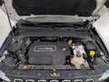 Jeep Renegade 1.6 mjt Limited fwd 120cv Weiß - thumbnail 15