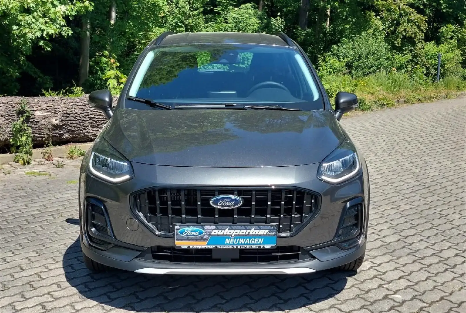 Ford Fiesta Active Grau - 2