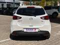 Mazda 2 1.5 SKYACTIV-G Exclusive-Line *Sitzh.*LM* Bianco - thumbnail 7