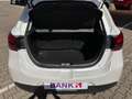 Mazda 2 1.5 SKYACTIV-G Exclusive-Line *Sitzh.*LM* Bianco - thumbnail 10