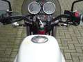 Moto Guzzi V 7 II STORNELLO ABS Rood - thumbnail 16