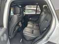 Land Rover Range Rover 3,0 TDV6 HSE Allrad Automatik 258PS PICKERL 8/26 Silber - thumbnail 19