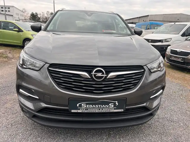Opel Grandland X view 2