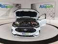 Ford Kuga ST-Line X Plug-In Hybrid Weiß - thumbnail 9