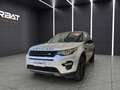 Land Rover Discovery Sport Discovery Sport 2.0 TD4 150 CV SE Grau - thumbnail 1