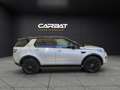 Land Rover Discovery Sport Discovery Sport 2.0 TD4 150 CV SE + IVA Grigio - thumbnail 7