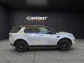 Land Rover Discovery Sport Discovery Sport 2.0 TD4 150 CV SE + IVA Grigio - thumbnail 5