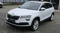 Skoda Karoq Style/8xAlu/Panorama/AHK/ACC/LED Wit - thumbnail 1