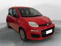 Fiat Panda Panda 1.0 FireFly S&S Hybrid Easy Rood - thumbnail 1