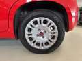 Fiat Panda Panda 1.0 FireFly S&S Hybrid Easy Rood - thumbnail 7