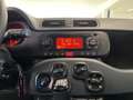 Fiat Panda Panda 1.0 FireFly S&S Hybrid Easy Rood - thumbnail 14