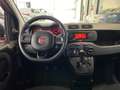 Fiat Panda Panda 1.0 FireFly S&S Hybrid Easy Rood - thumbnail 10