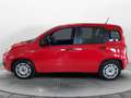 Fiat Panda Panda 1.0 FireFly S&S Hybrid Easy Rood - thumbnail 6