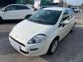 Fiat Punto Punto 5p 1.3 mjt Street s Wit - thumbnail 3