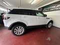 Land Rover Range Rover Evoque SE 4X4 NAVI,Leder,Kamera EUR6 Weiß - thumbnail 11