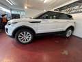Land Rover Range Rover Evoque SE 4X4 NAVI,Leder,Kamera EUR6 Weiß - thumbnail 7