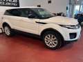 Land Rover Range Rover Evoque SE 4X4 NAVI,Leder,Kamera EUR6 Weiß - thumbnail 4