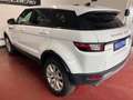 Land Rover Range Rover Evoque SE 4X4 NAVI,Leder,Kamera EUR6 Weiß - thumbnail 13