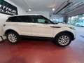 Land Rover Range Rover Evoque SE 4X4 NAVI,Leder,Kamera EUR6 Weiß - thumbnail 8