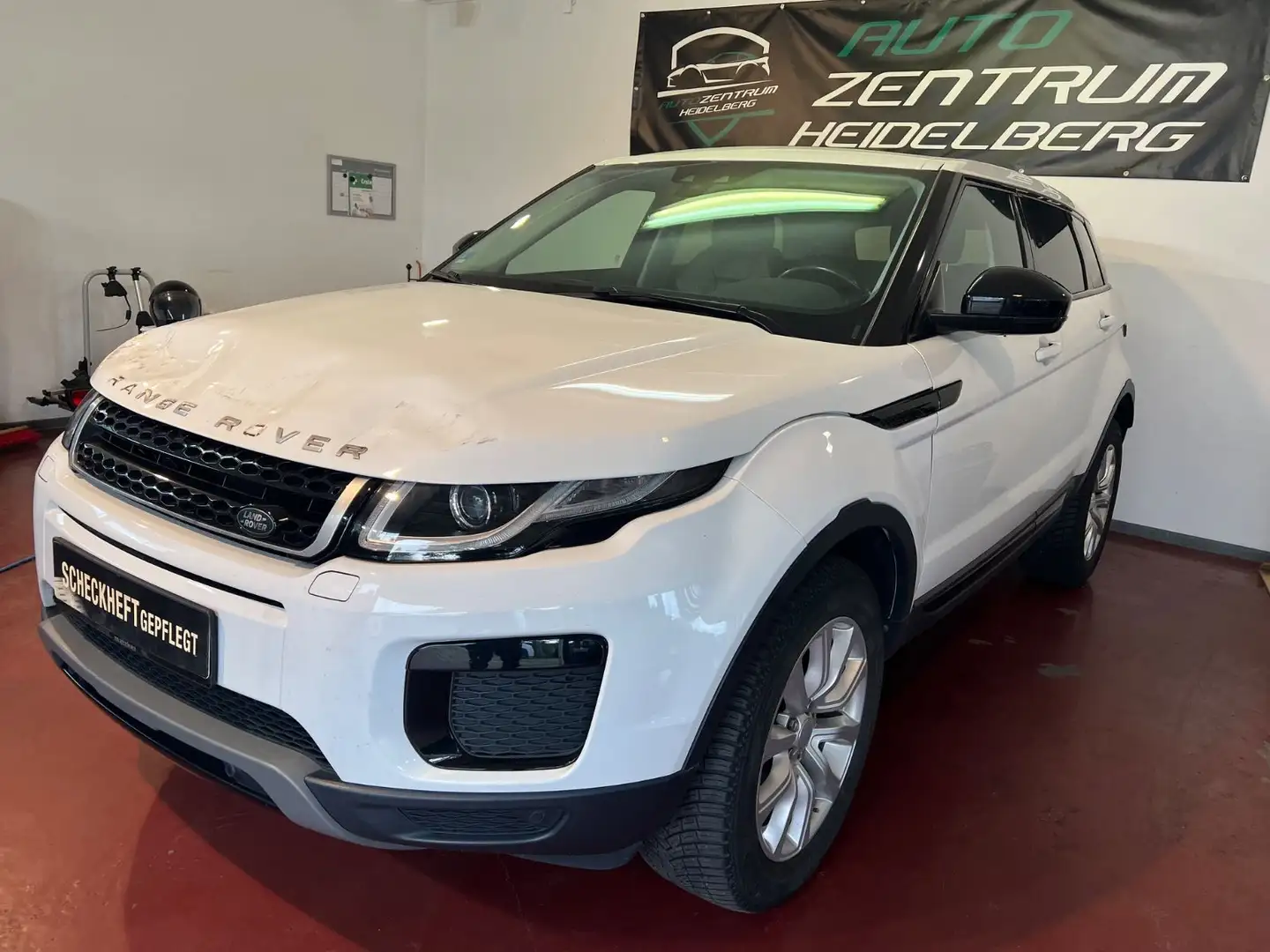 Land Rover Range Rover Evoque SE 4X4 NAVI,Leder,Kamera EUR6 Weiß - 2