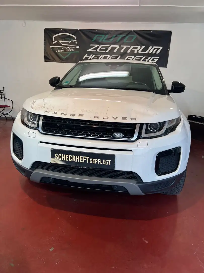 Land Rover Range Rover Evoque SE 4X4 NAVI,Leder,Kamera EUR6 Weiß - 1