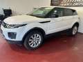 Land Rover Range Rover Evoque SE 4X4 NAVI,Leder,Kamera EUR6 Weiß - thumbnail 3