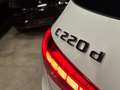 Mercedes-Benz C 220 ALL TERRAIN - 4MATIC - IVA esposta - thumbnail 24