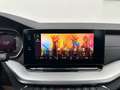 Skoda Octavia Combi 2,0 TDI Style DSG * Matrix-LED-18-Zoll * Grau - thumbnail 31