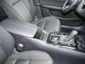 Mazda CX-30 SKYACTIV-G 2.0 M-Hybrid Aut SELECTION PREIS HAMMER Weiß - thumbnail 18