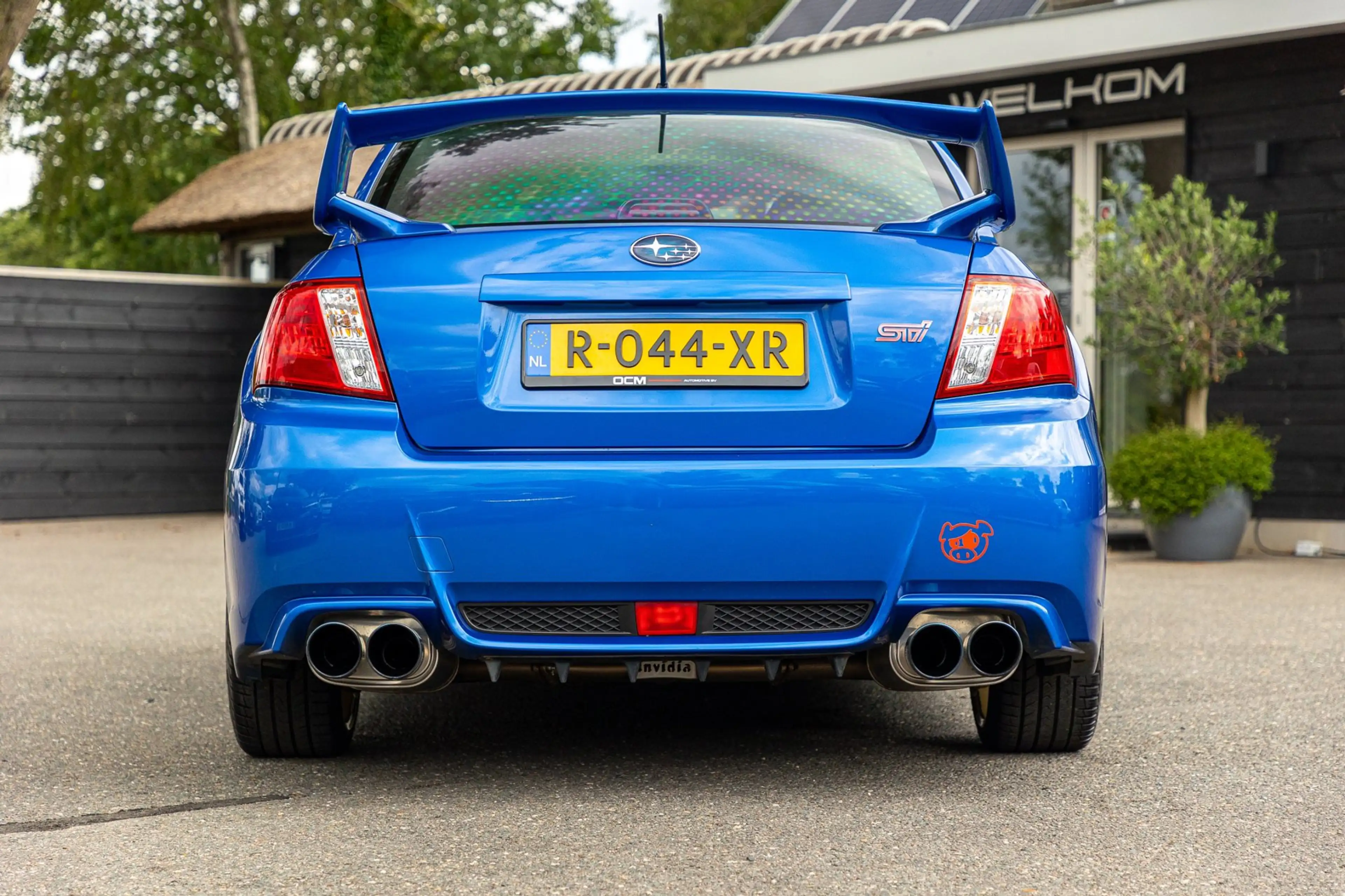 Subaru WRX STI 2.5 T Sport WR Blue Pearl I Collector's item I — photo 7