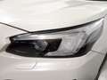 Subaru OUTBACK Field Blanco - thumbnail 22