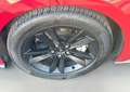 Ford Mustang GT Fastback 5.0Ti-VCT V8*Kamera*CarPlay* Rot - thumbnail 9