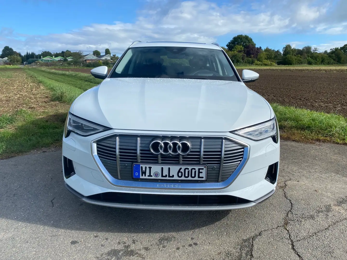 Audi e-tron 50 quattro advanced Pannnorama Top View Weiß - 2