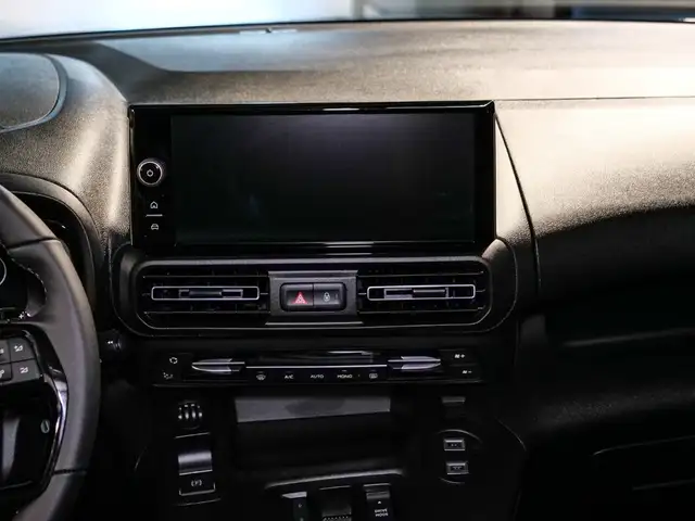 Fiat Doblo view 12