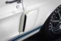 Shelby GT GT500 Weiß - thumbnail 15