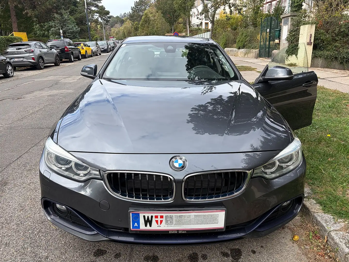 BMW 428 428i xDrive Gran Coupe Aut. Grau - 2