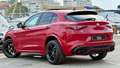 Alfa Romeo Stelvio Stelvio 2.9 V6 510ch AT8 Quadrifoglio PANO HK +++ Rouge - thumbnail 14
