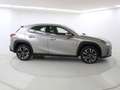 Lexus UX 250h 2.0 Business Navigation Gris - thumbnail 7