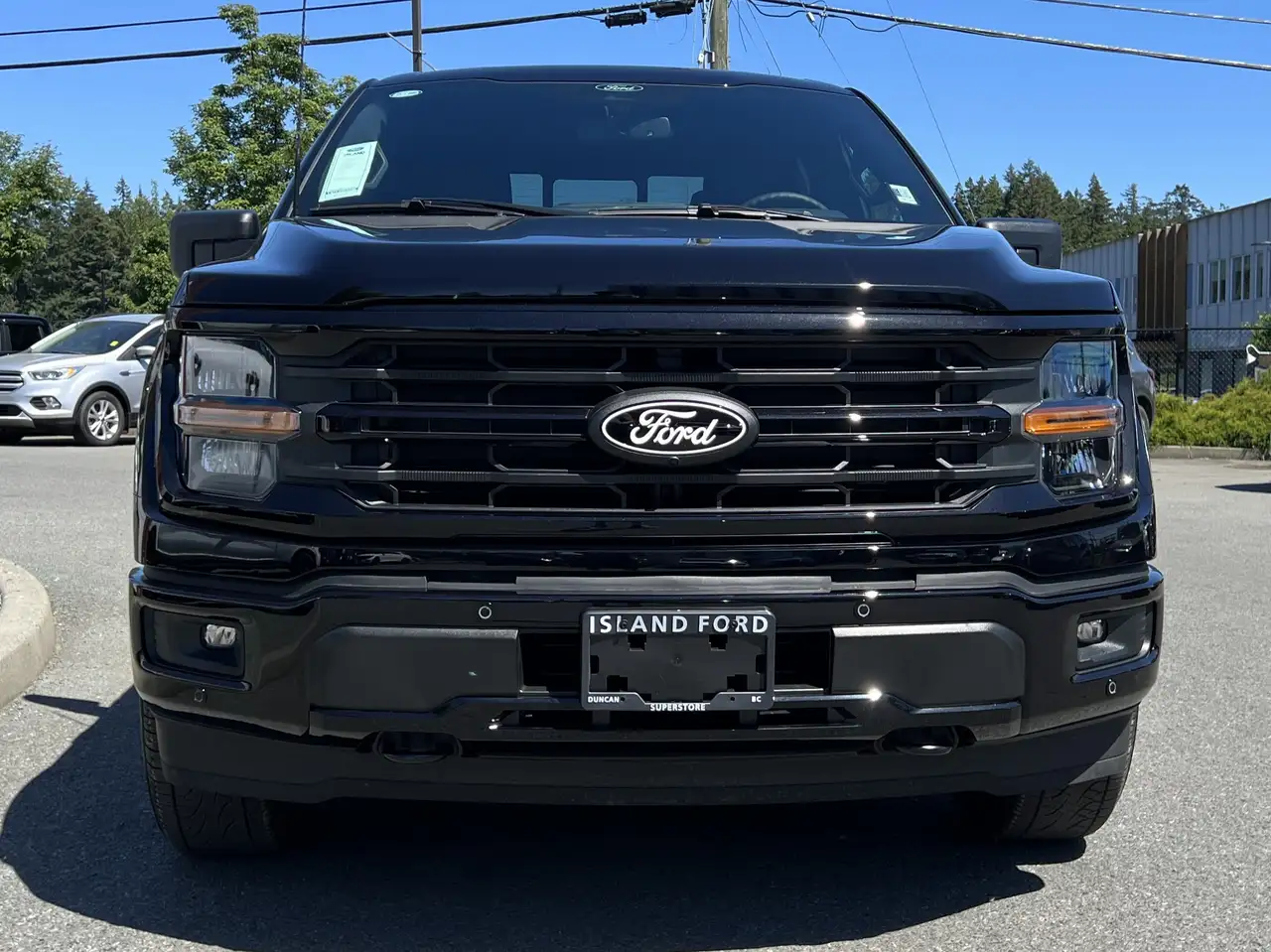 Ford F 150 снимка Ford F 150