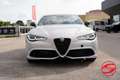 Alfa Romeo Giulia 2.0 280cv Veloce Q4 GRIGIO MOONLIGHT Grigio - thumbnail 2