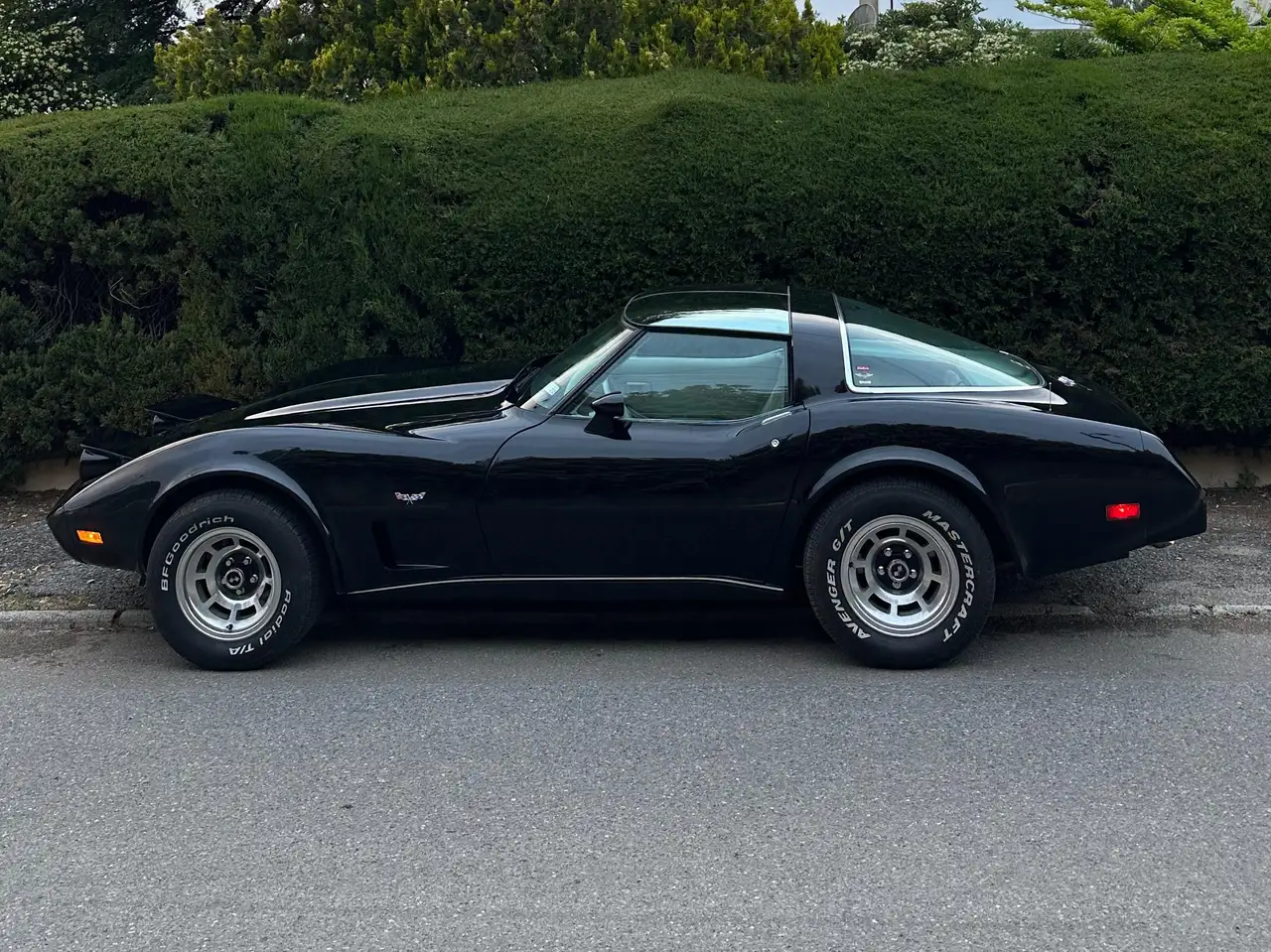 Corvette C3 Silver Anniversary, foto 1