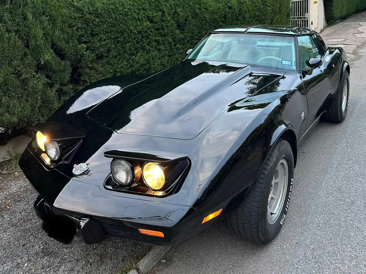 Corvette C3 Silver Anniversary, foto 5