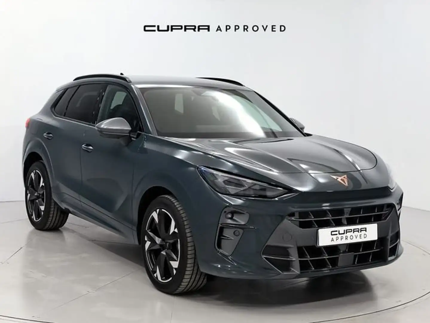CUPRA Terramar 1.5 eTSI 110kW (150 CV) DSG Azul - 1