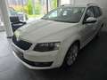Skoda Octavia Combi Joy*1.HAND*LED*NAVI*SHZ Weiß - thumbnail 25