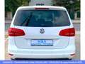 Volkswagen Sharan 2.0 TDI BlueMotion 7-sitzer  * Garantie Weiß - thumbnail 5
