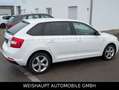 Skoda Rapid/Spaceback Spaceback Elegance Automatik-SHZ-PDC-Tempo Bianco - thumbnail 5