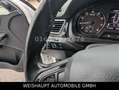 Skoda Rapid/Spaceback Spaceback Elegance Automatik-SHZ-PDC-Tempo Bianco - thumbnail 28