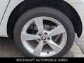 Skoda Rapid/Spaceback Spaceback Elegance Automatik-SHZ-PDC-Tempo Bianco - thumbnail 18