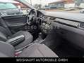 Skoda Rapid/Spaceback Spaceback Elegance Automatik-SHZ-PDC-Tempo Bianco - thumbnail 23
